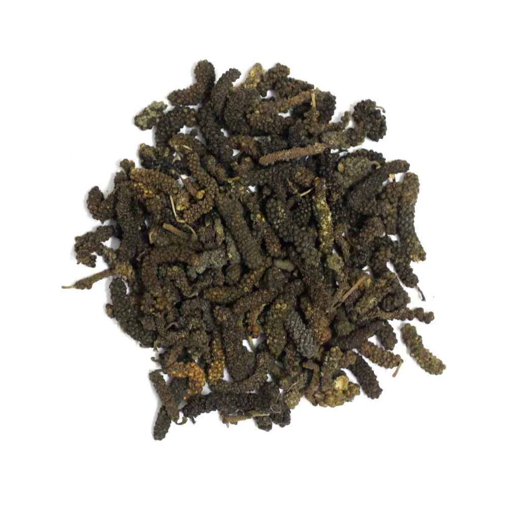 Pipal Choti  ( Piper longum )  _Piper retrofractum_